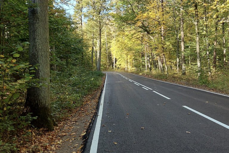 Komitet Inicjatywy Uchwałodawczej w sprawie ulicy Gościniec Warecki w gminie Piaseczno – działanie współprowadzone z  członkami społeczności lokalnej